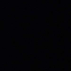 Meet your Posher, Dante